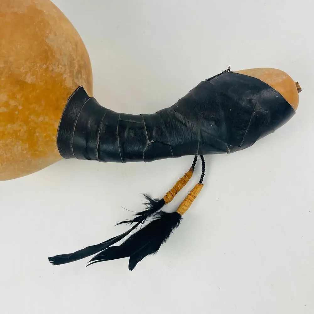 Native American Folk Art Gourd Rattle Petroglyph-style Paint & Feathers